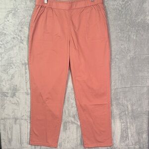 D & Co Dusty Rose Chino Ankle Pants Elastic Waist Size Large